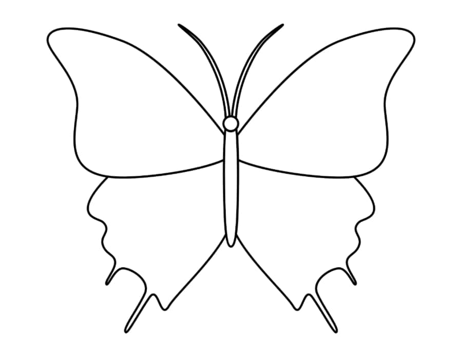 Butterfly Line Art Drawing Tracing Worksheets Pdf Free Vectors